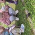 20250512_105329.jpg